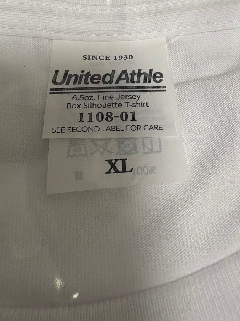 電気グルーヴ スチャダラパー　Tシャツ XLサイズ　チャンピオンカーニバル