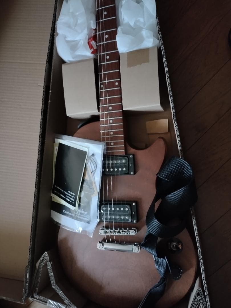 ギター Epiphone Les Paul Special VE