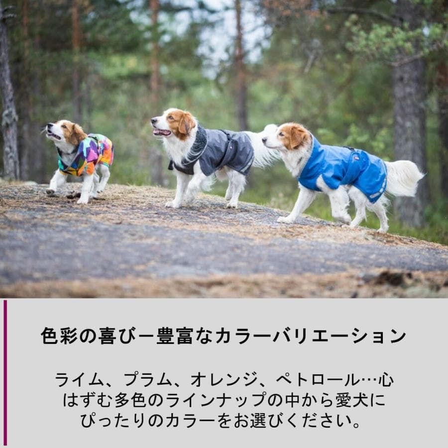 ドッグコート【Perus Pomppa】ペルス フィランド