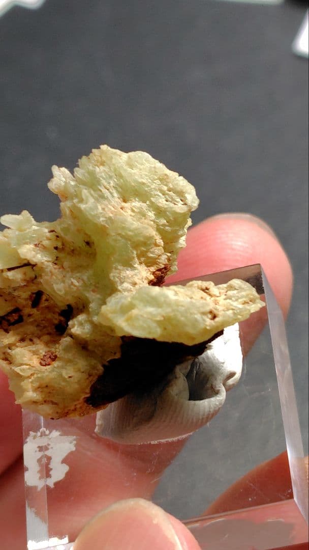 フォスフォフィライト　ボリビア産　1197