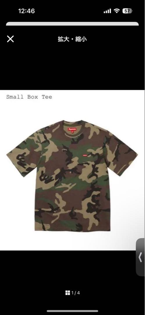 supreme 25ss カモ柄T