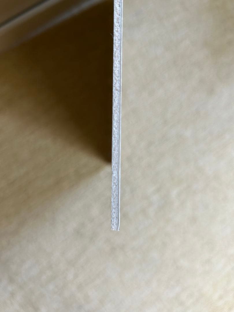 【非売品】【超レア希少品】 創価大学　ナポレオン像　 アクリル製写真版