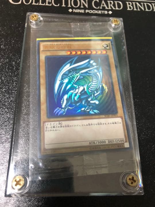 遊戯王 青眼の白龍【世界に300枚】秘蔵レア
