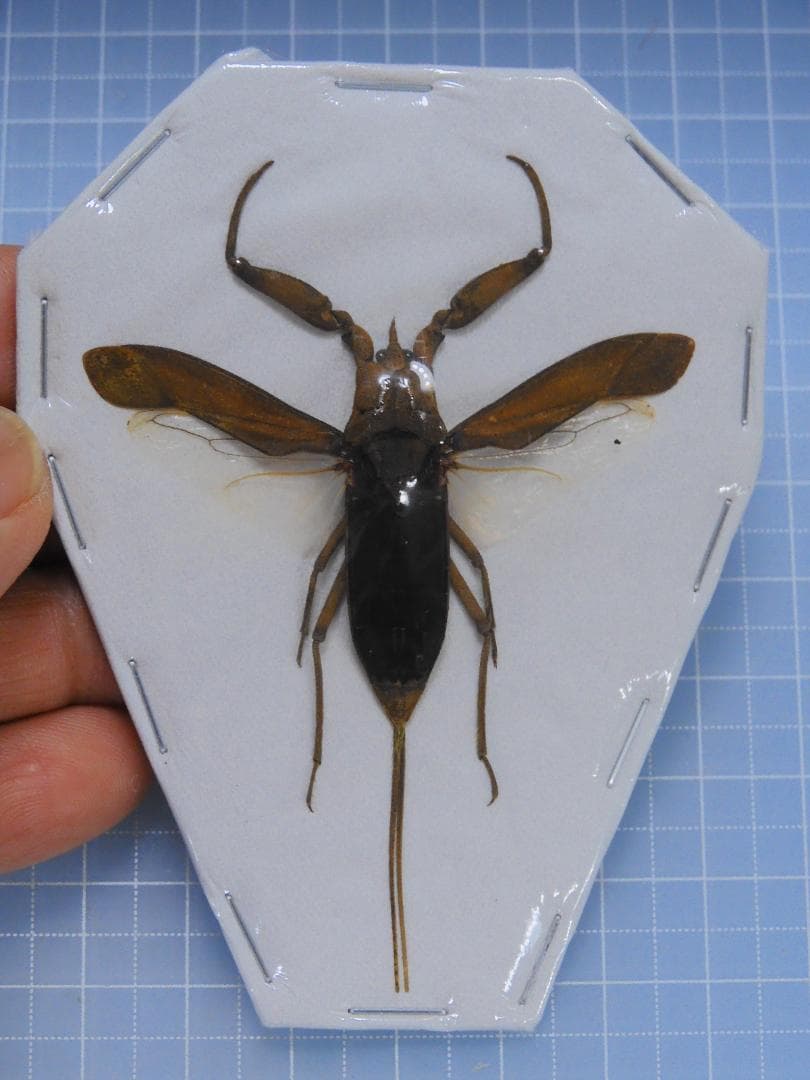 そばぼうろ様 リクエスト 9点 まとめ商品