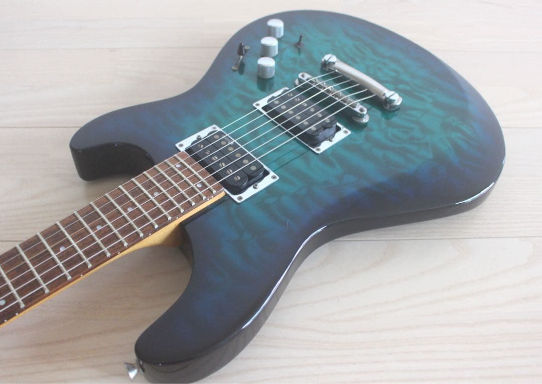 Fernandes フェルナンデス APG-65S サスティナー搭載