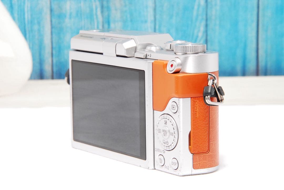 【ショット数611回】LUMIX GF9 SNS Wi-Fi チルト ミラーレス