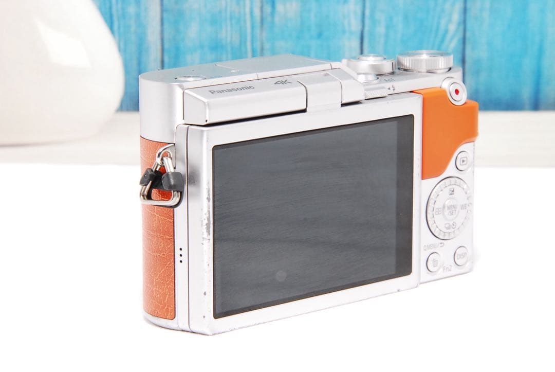 【ショット数611回】LUMIX GF9 SNS Wi-Fi チルト ミラーレス