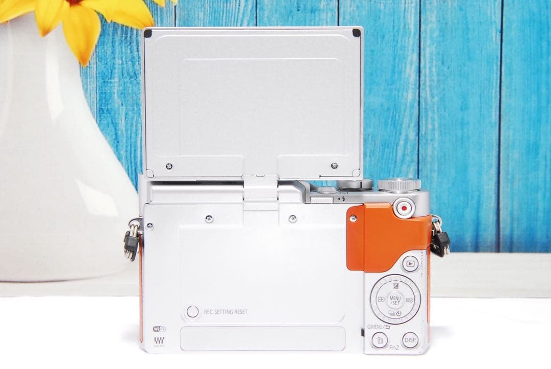 【ショット数611回】LUMIX GF9 SNS Wi-Fi チルト ミラーレス