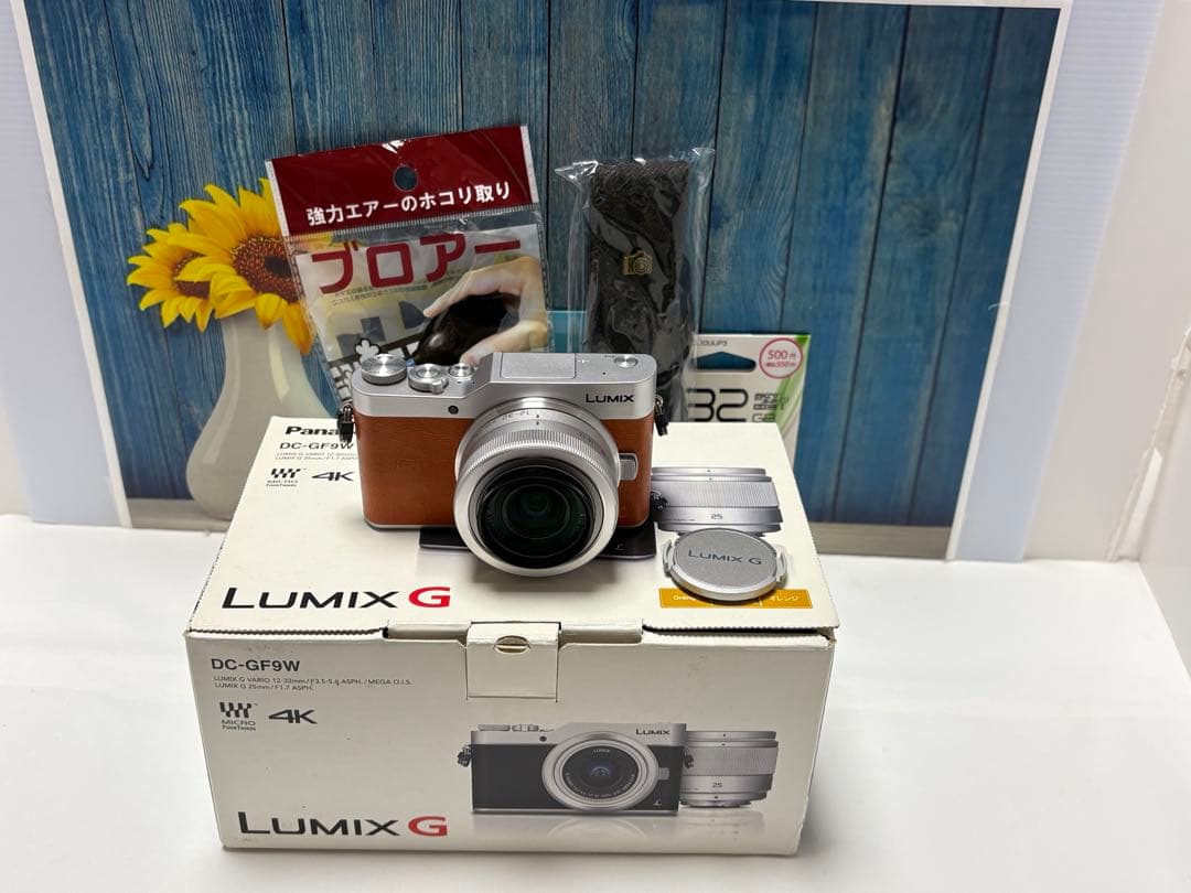 【ショット数611回】LUMIX GF9 SNS Wi-Fi チルト ミラーレス