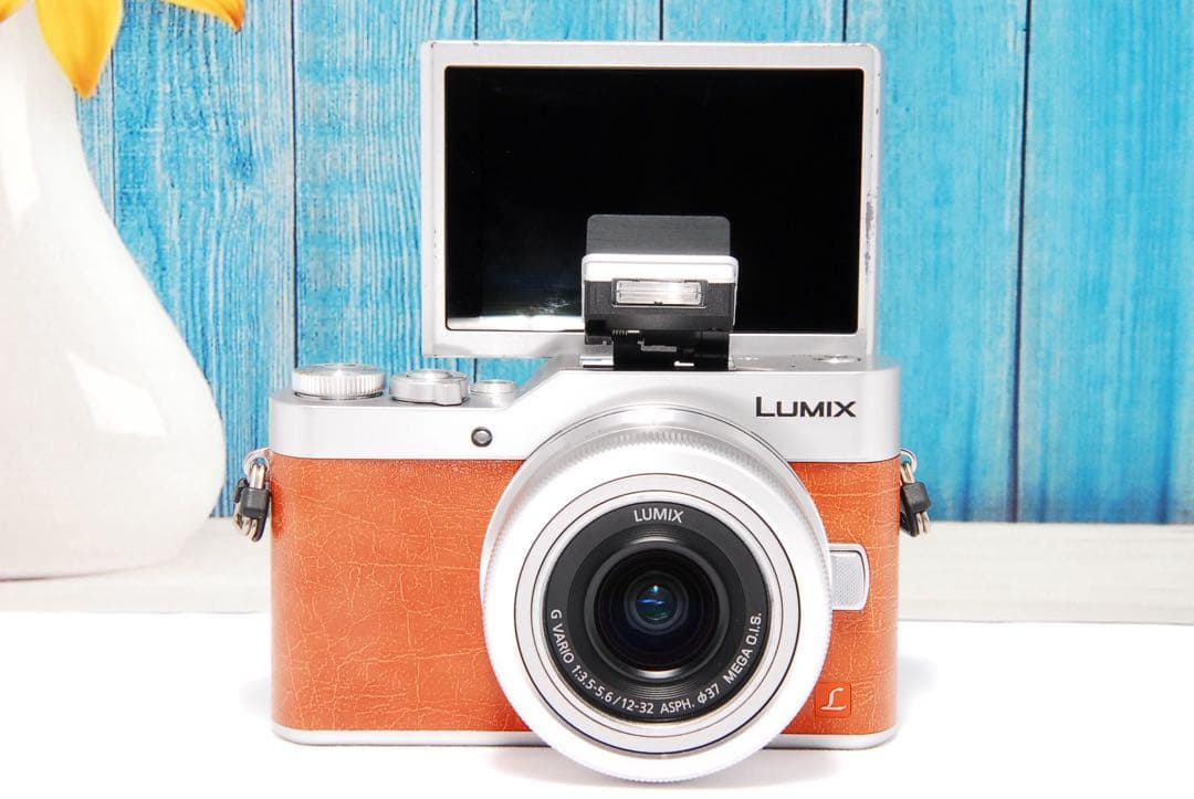 【ショット数611回】LUMIX GF9 SNS Wi-Fi チルト ミラーレス