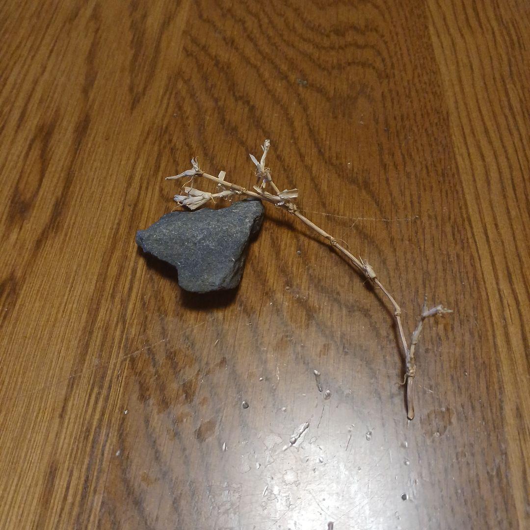 サッカー県大会の会場の石と芝