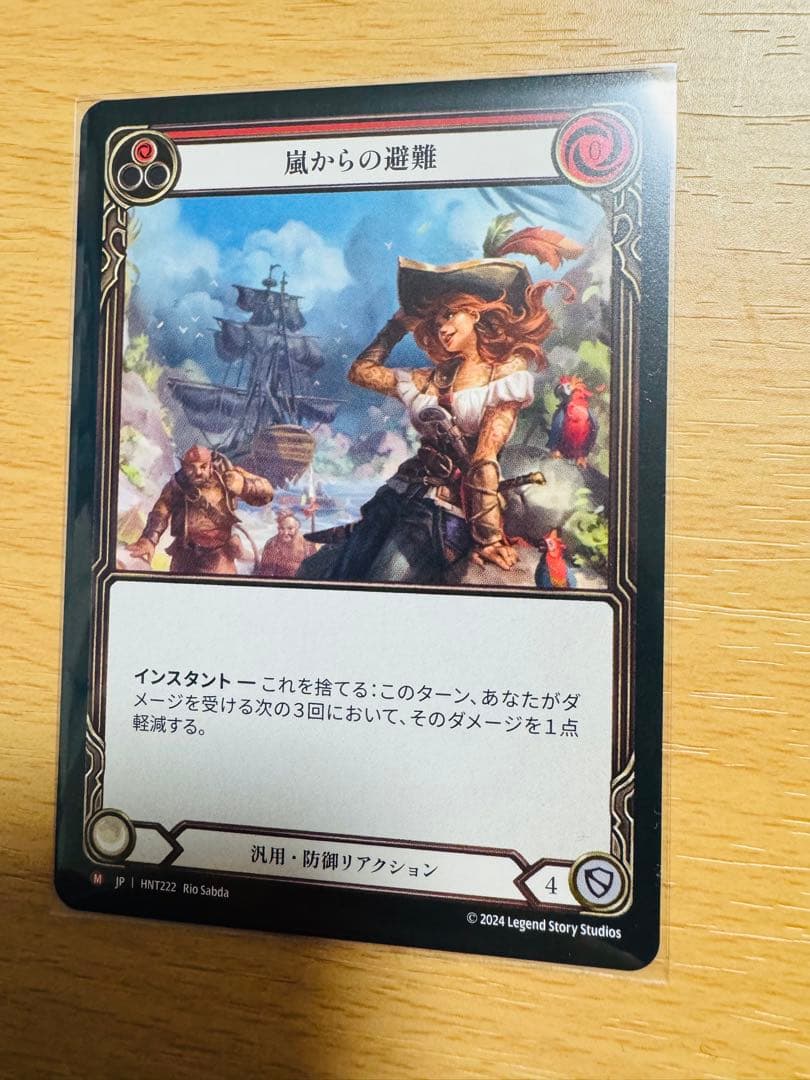 嵐からの避難 2枚 日語 flesh and blood RF