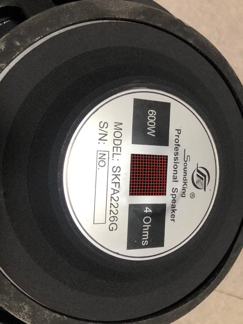 サウンドキング MODEL:SKFA2226G 600W 音出し確認済み