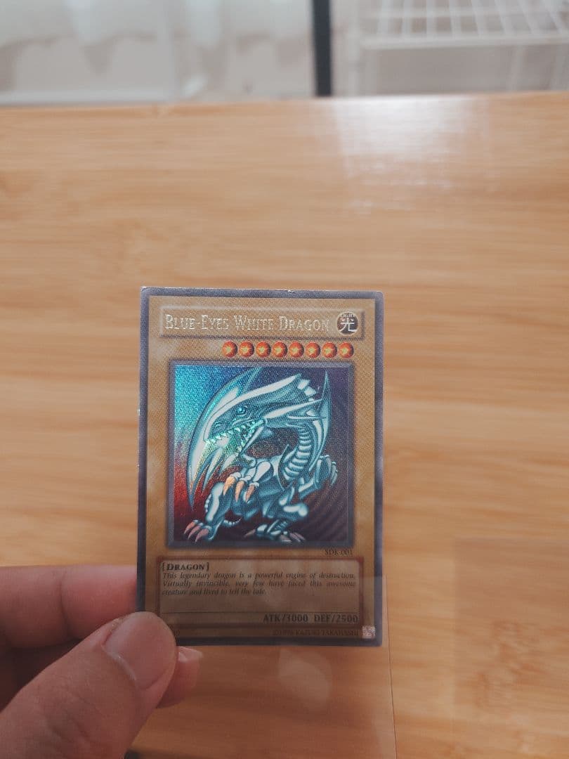 北米　青眼の白龍sdk 　wave