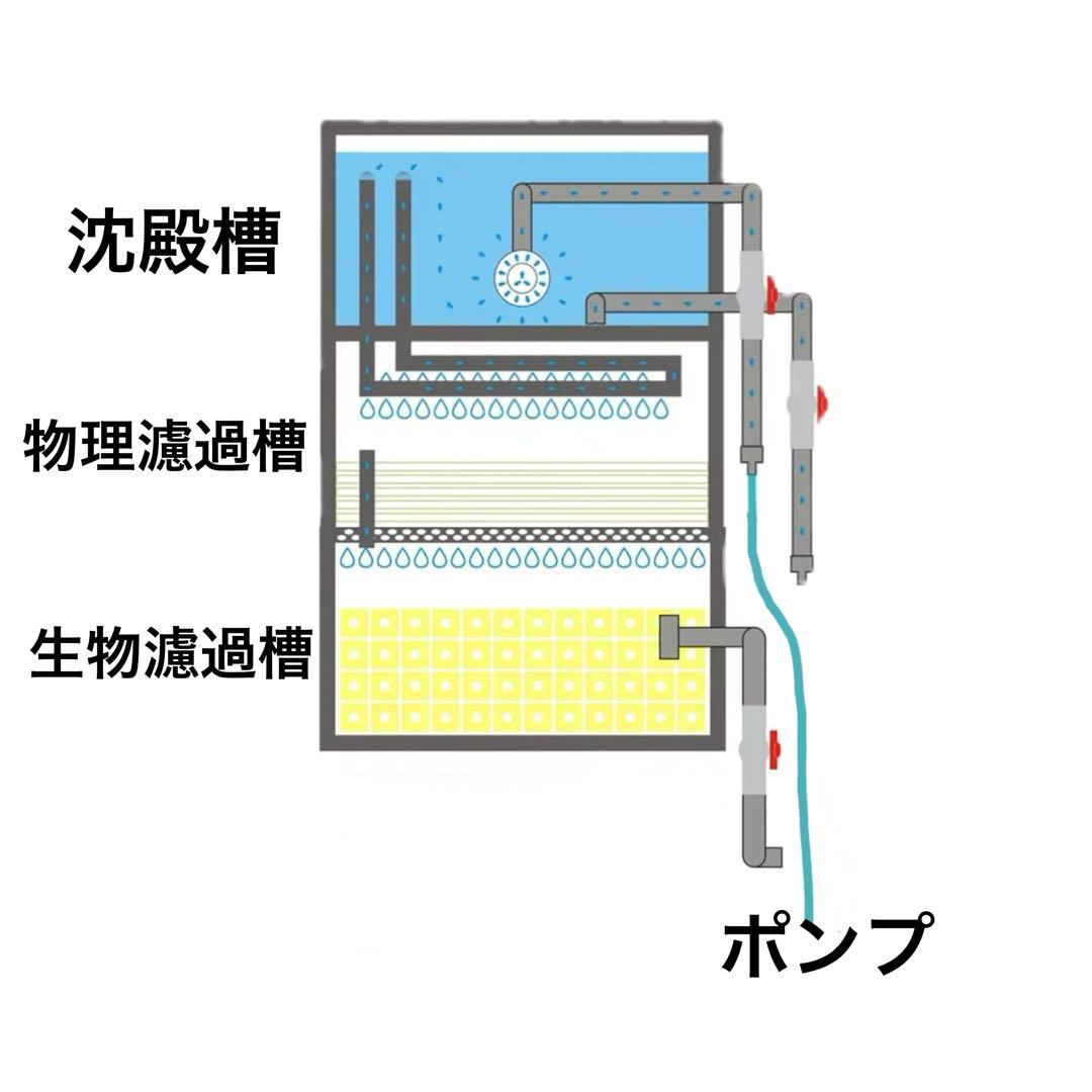 沈殿物理生物一体型濾過槽　外部式濾過装置器　アクアリウム水槽濾過フィルター