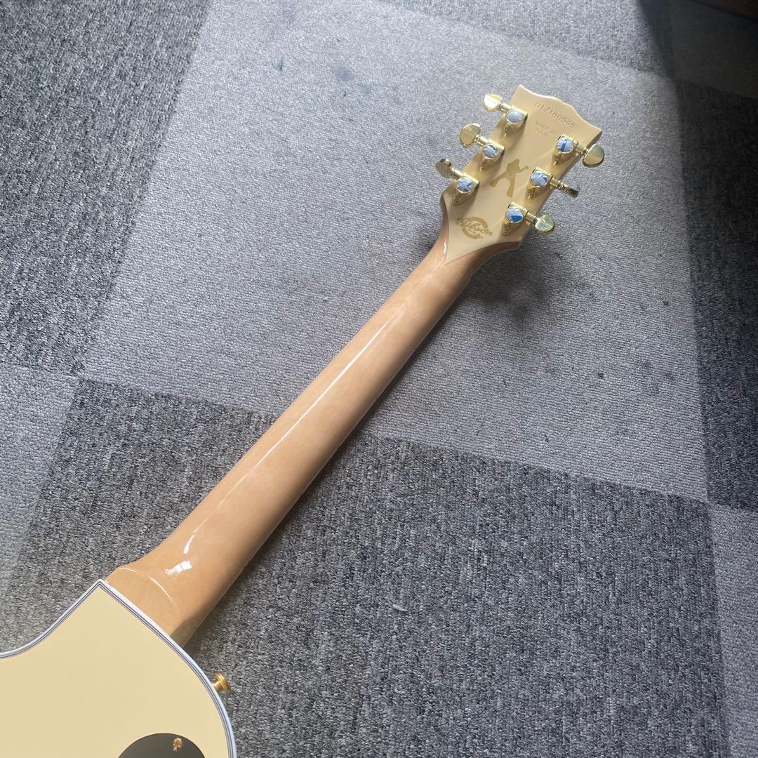 ザックワイルドモデル 高品質コンポーネントギター ブルズアイレスポール