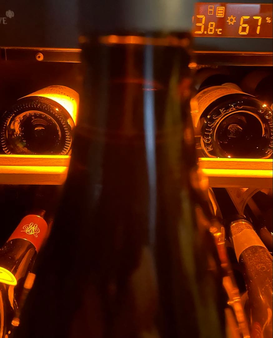 ピエール・ダモワ　ブルゴーニュ赤ワイン