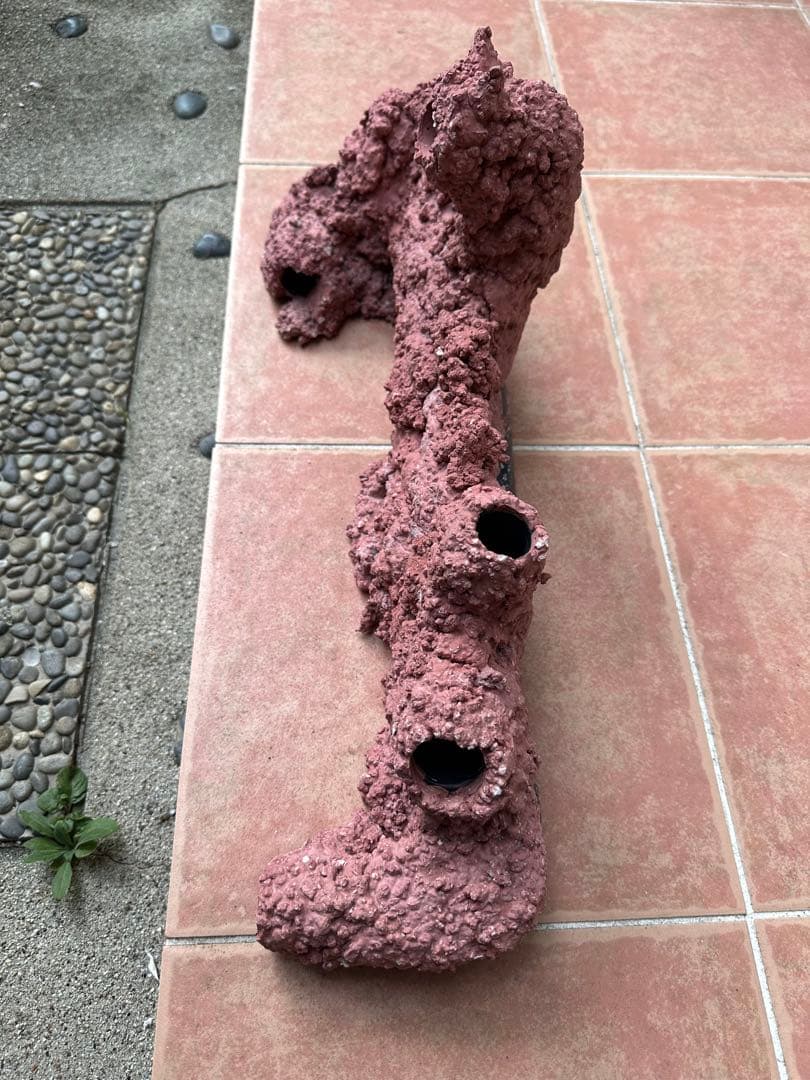 人工ライブロック　海水魚