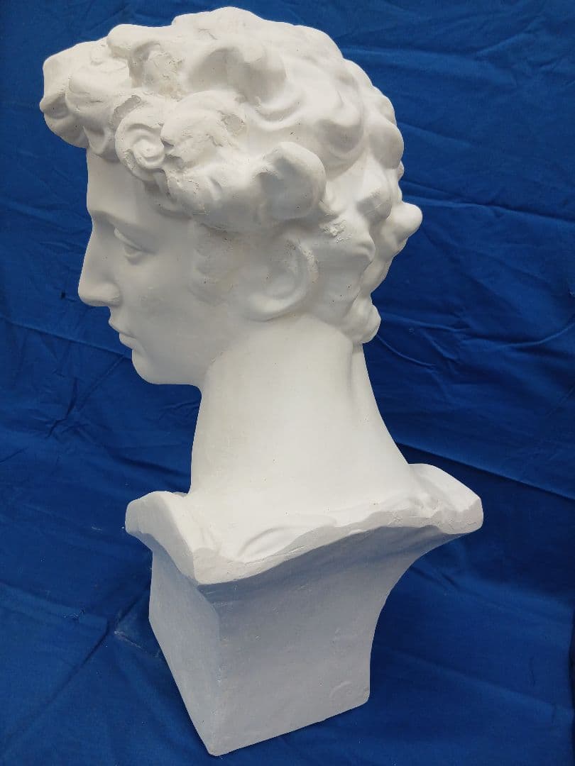 メディチ石膏首像　高さ60cm