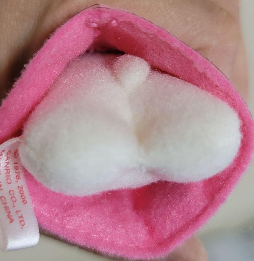 激レア ハローキティ ぬいぐるみ マスコット EIKOH 2000年