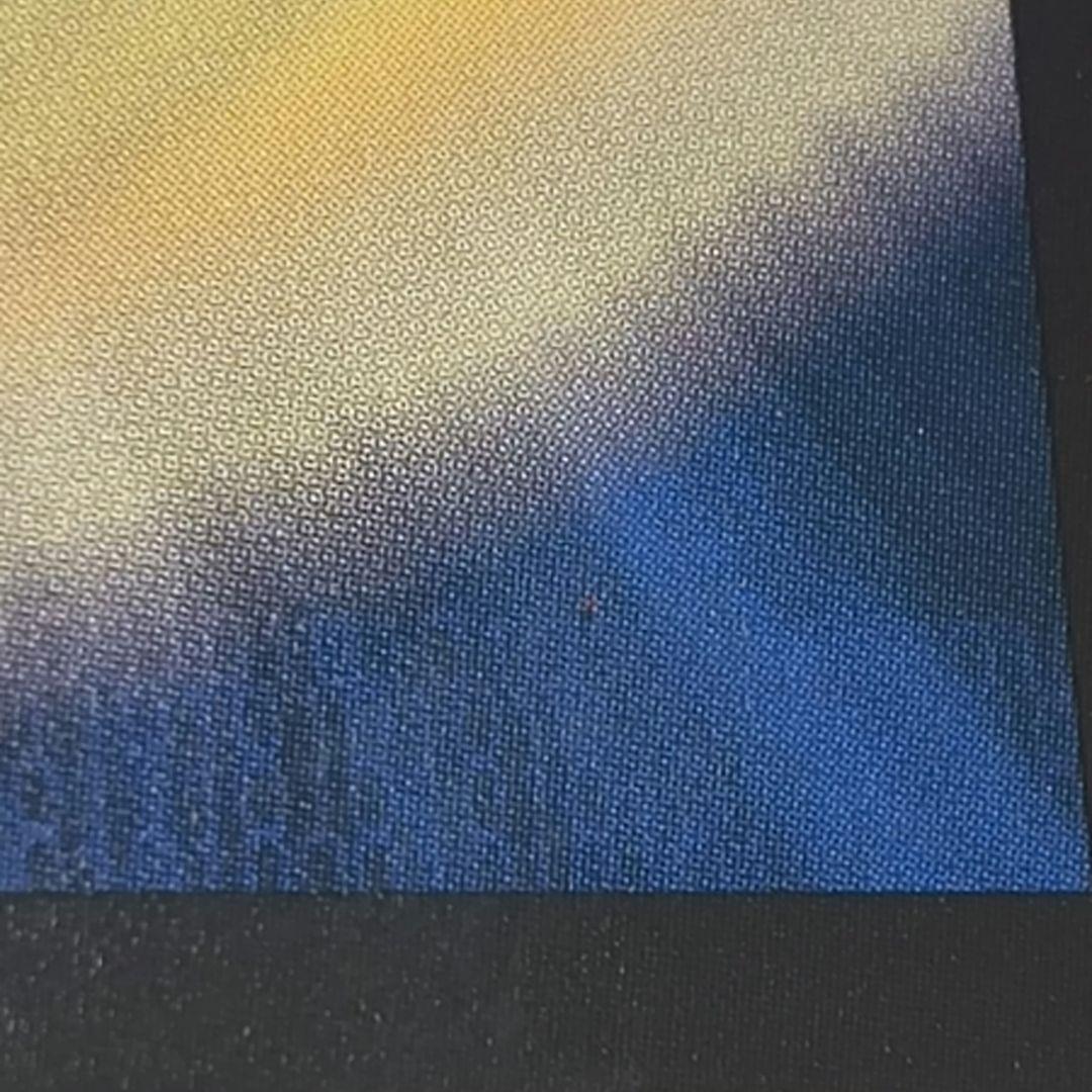 アーテルゴルギーニ　金トレジャー