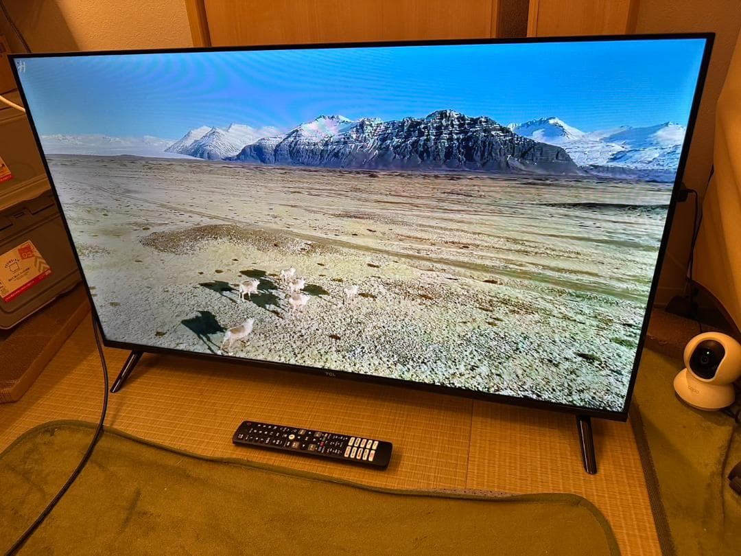 24年製未使用近！TCL 40S5400 スマートテレビ　40型　アプリ内蔵式