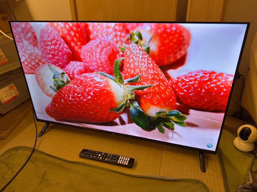 24年製未使用近！TCL 40S5400 スマートテレビ　40型　アプリ内蔵式