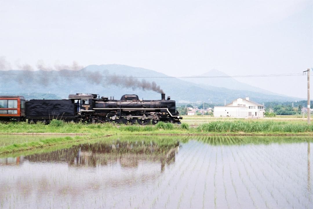 【実写確認済整備品】フォクトレンダーVITOⅡa／カラースコパー50mmf3.5