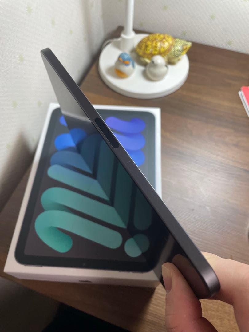 美品iPad mini (第6世代) + Apple Pencil (第2世代)