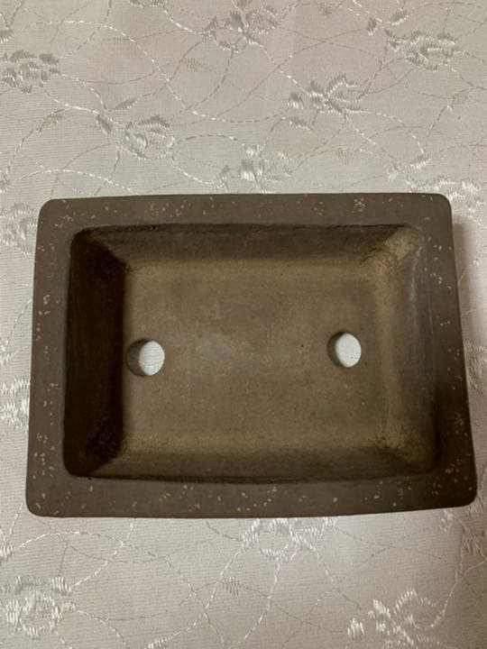 東福寺　盆栽鉢