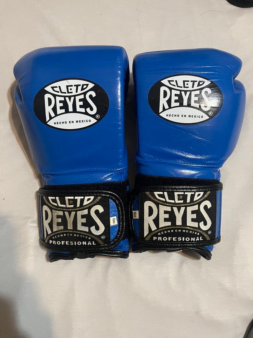 レイジェス ボクシンググローブ