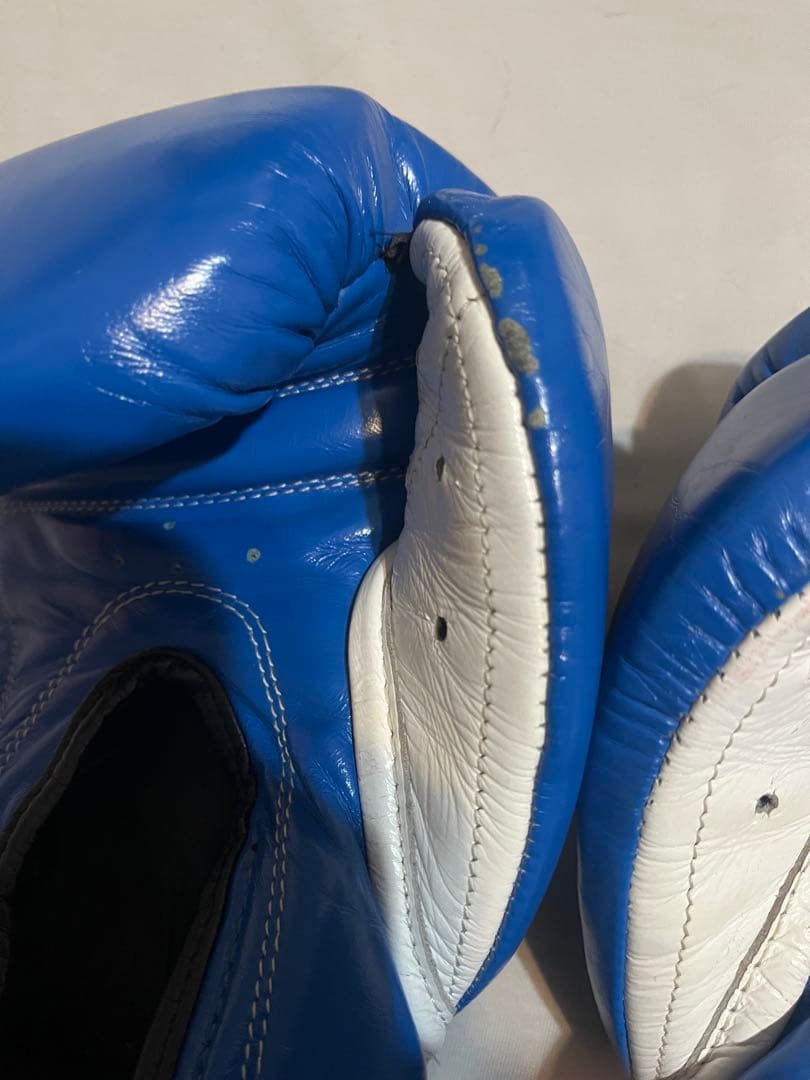 レイジェス ボクシンググローブ