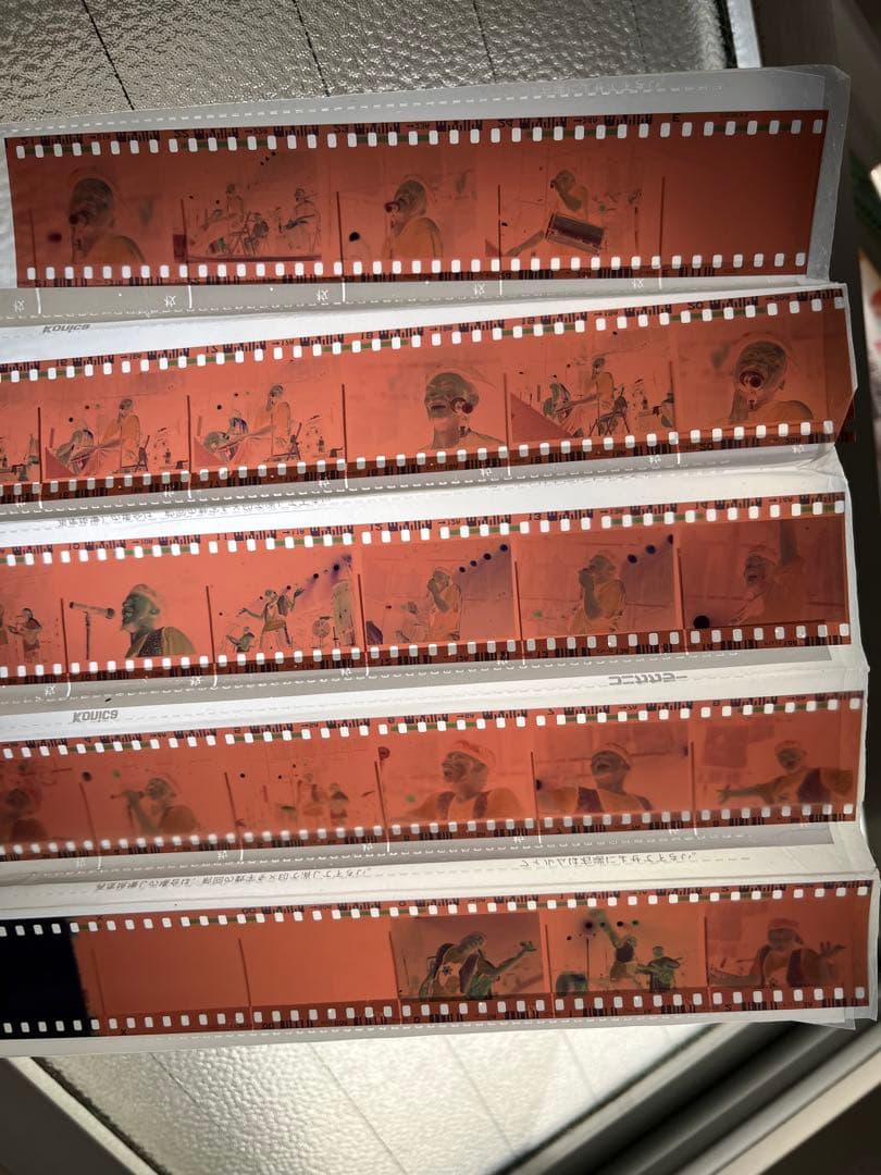 ジミークリフ　レゲエ　ジャマイカ　reggae Jamaica