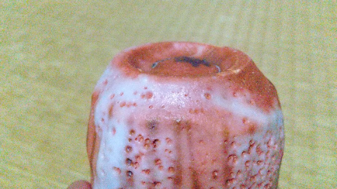 林正太郎　木賊紋・麦藁手　志野　ぐい呑　共箱