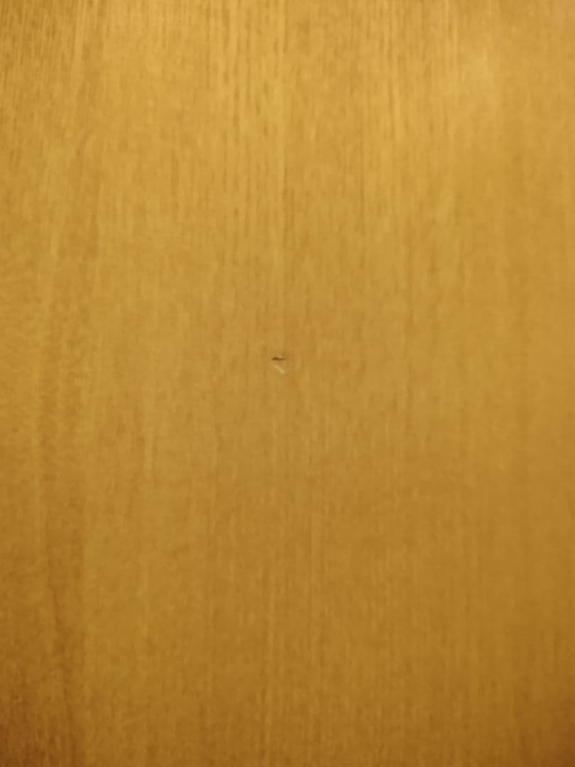 無印良品　楕円こたつ