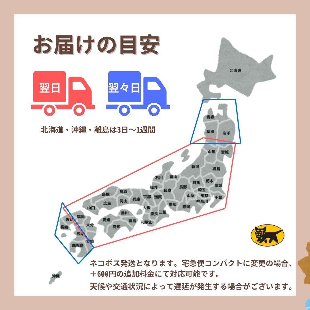 整備未使用 iPad 10 第10世代 256 GB Wi-Fi ピンク 本体