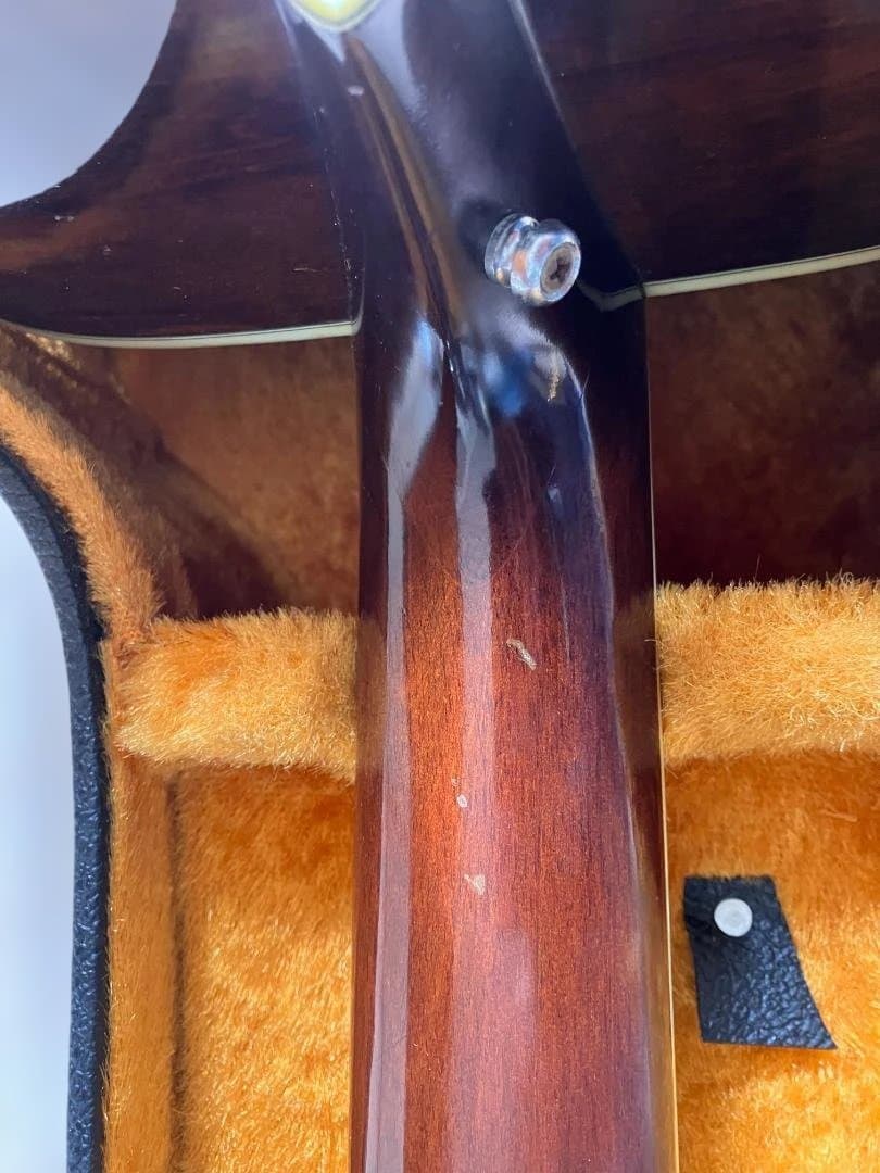 【サンバースト・縦ロゴ】Morris W-40 3Pバック ハードケース付