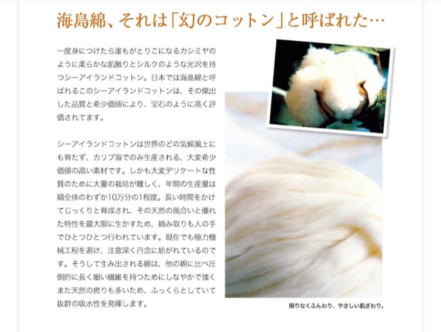 新品☆UCHINO☆最高級☆海島綿☆純金蒸着☆超高価☆豪華☆肉厚☆フェイスタオル