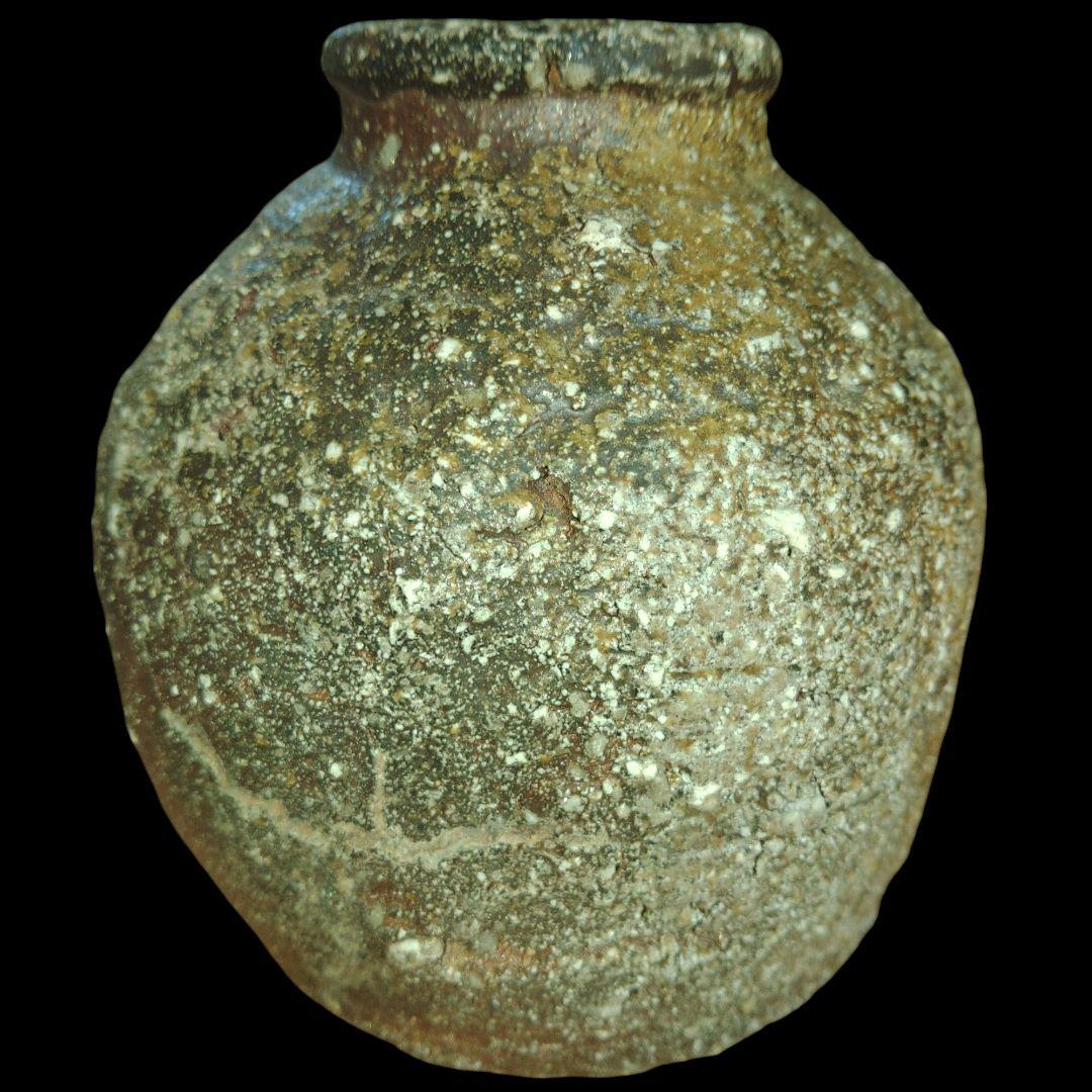 古信楽焼　灰被蹲る　窯変　花入れ　鑑賞用