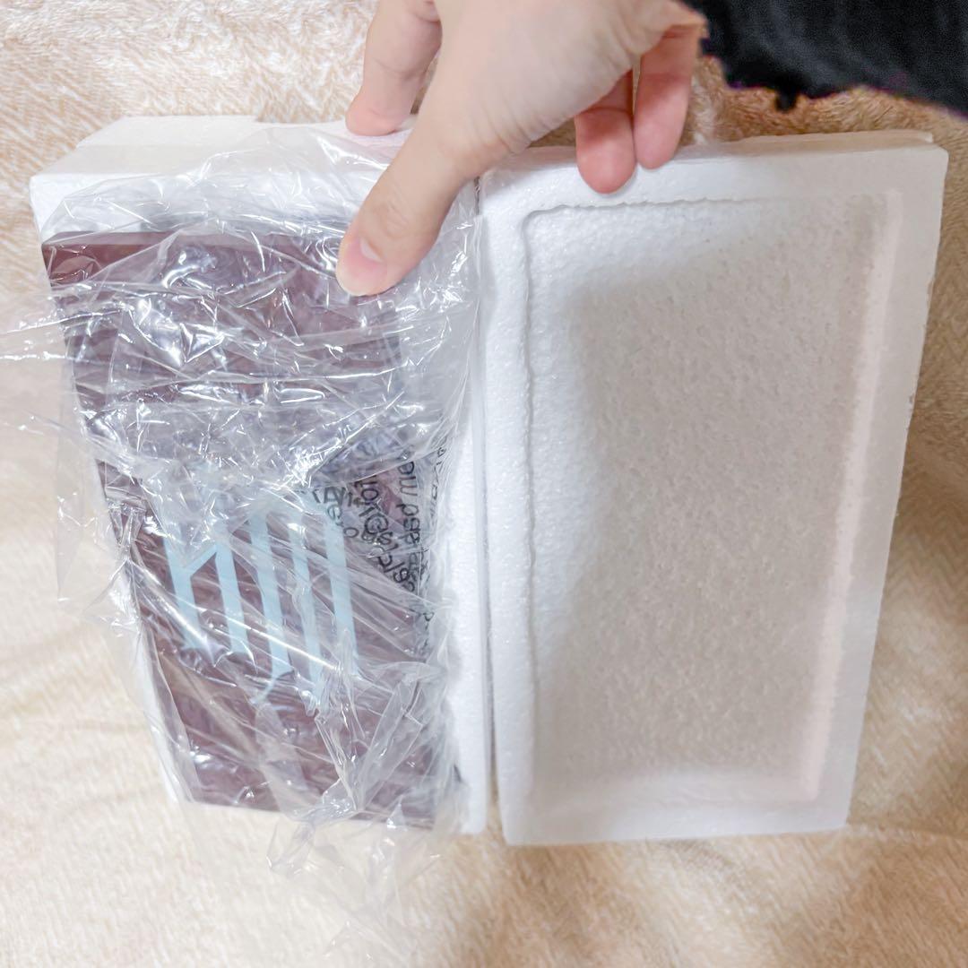 ホーンテッドマンション　ショーケース　ジョージの未亡人　エネスコ　置物　メアリー