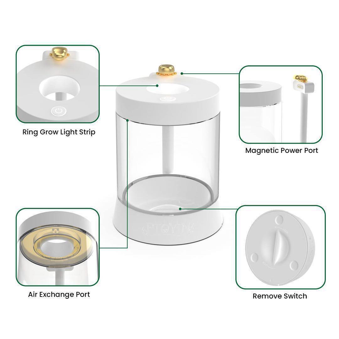 癒し植物ナイトライトグロウライト付き多肉植物の鉢 植物育成 LED USB