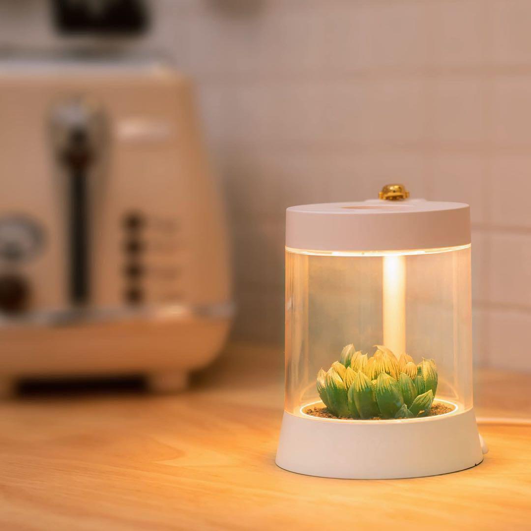癒し植物ナイトライトグロウライト付き多肉植物の鉢 植物育成 LED USB