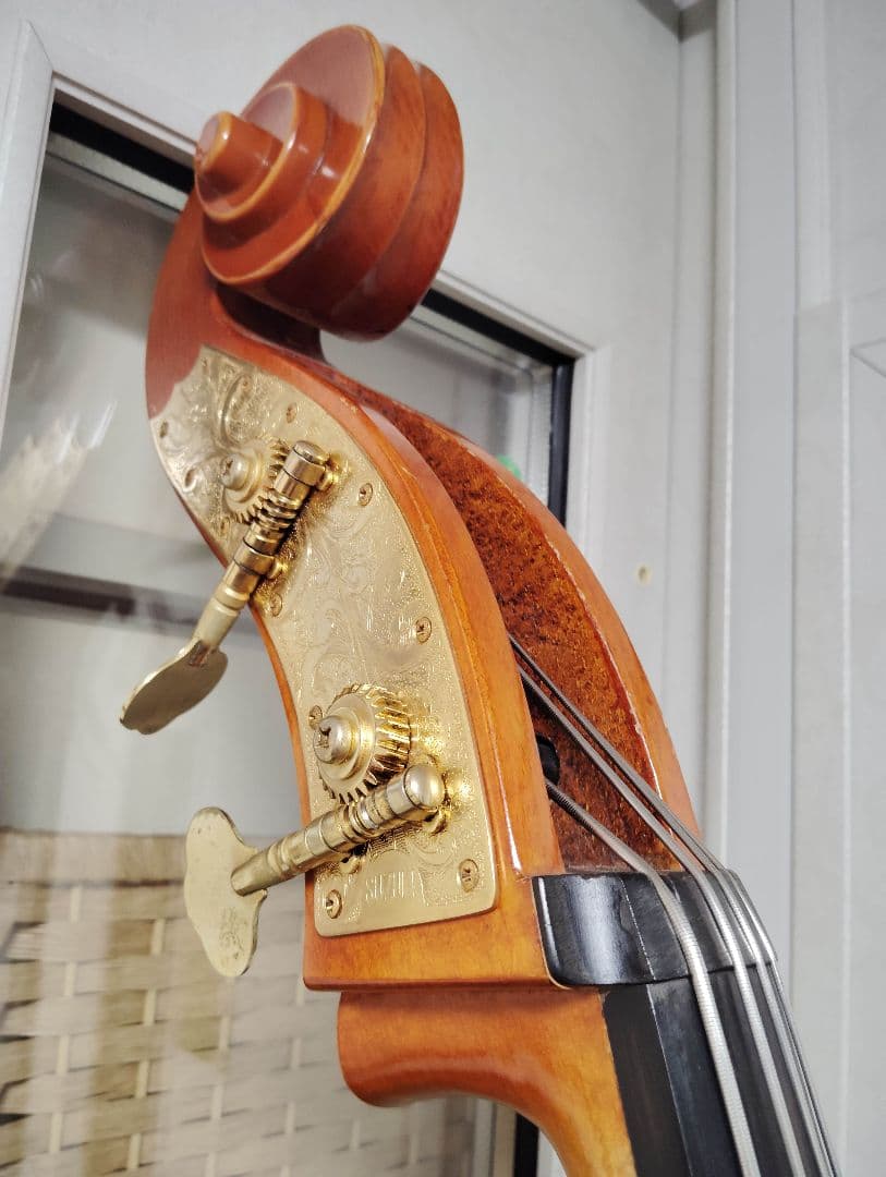 コントラバス ウッドベース スズキ ケース付 表単板 エヴァピラッツィ弦