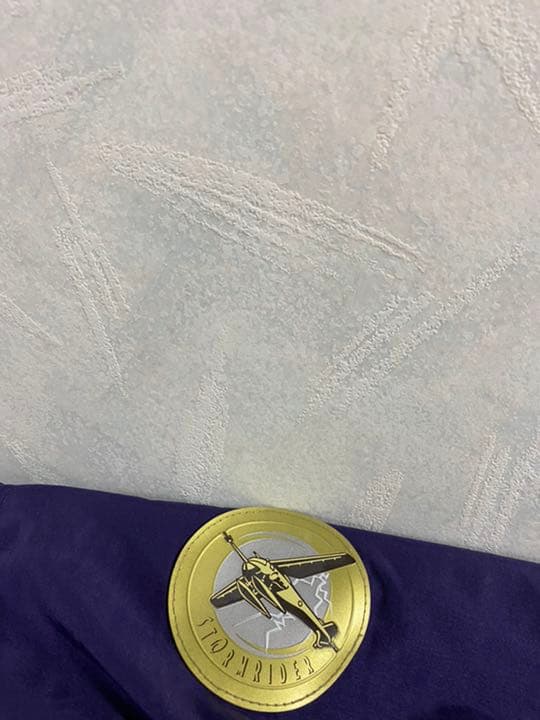 美品 希少 STORMRIDER ナイロンジャケット L 東京ディズニーシー