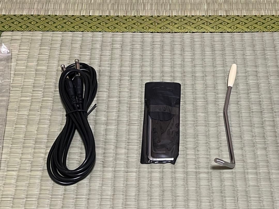 BACCHUS バッカス GS-4DX RSM/M CS エレキギター