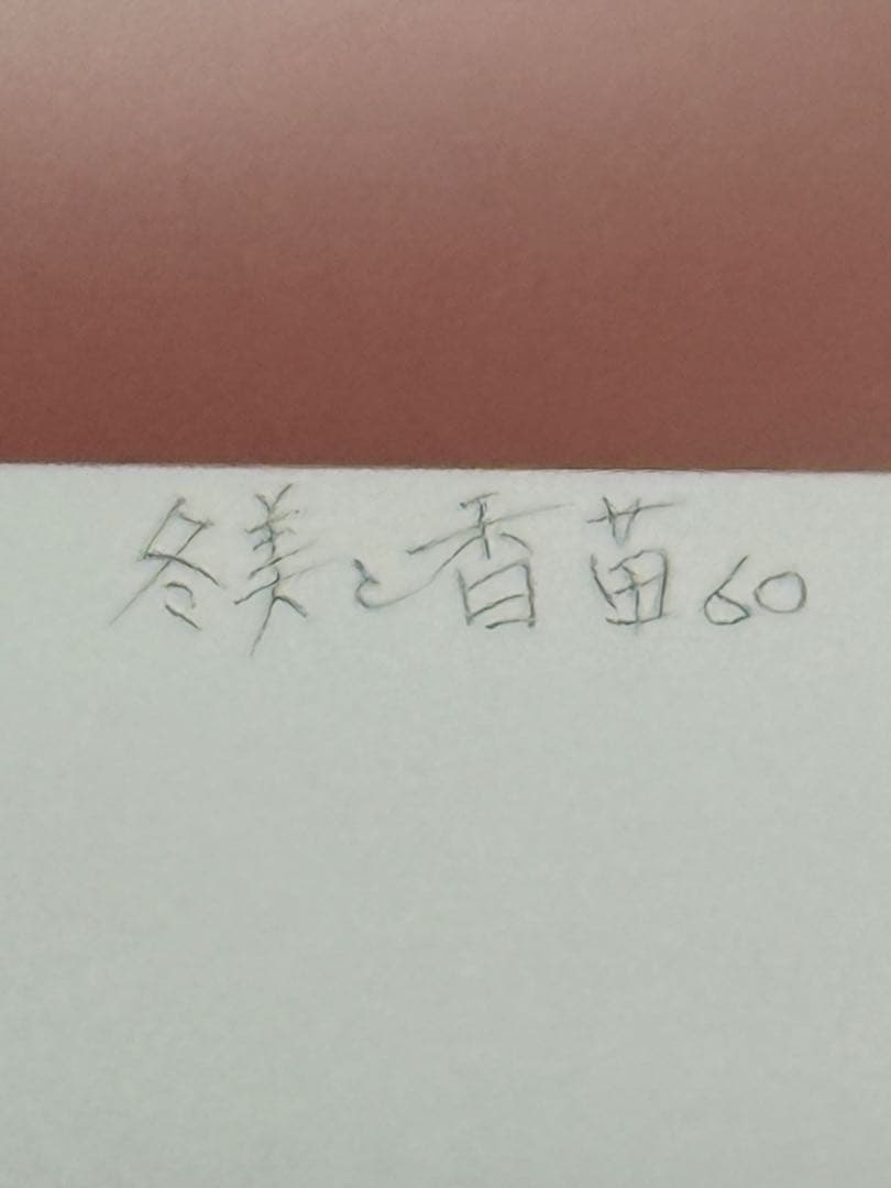 HIROSHI SATO作　【真作保証】　エディション、サイン有