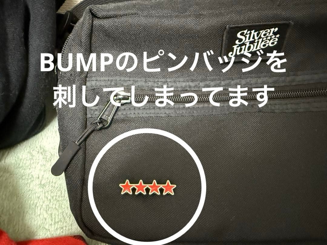 BUMP OF CHICKEN グッズ 43点まとめ売り おまけ付