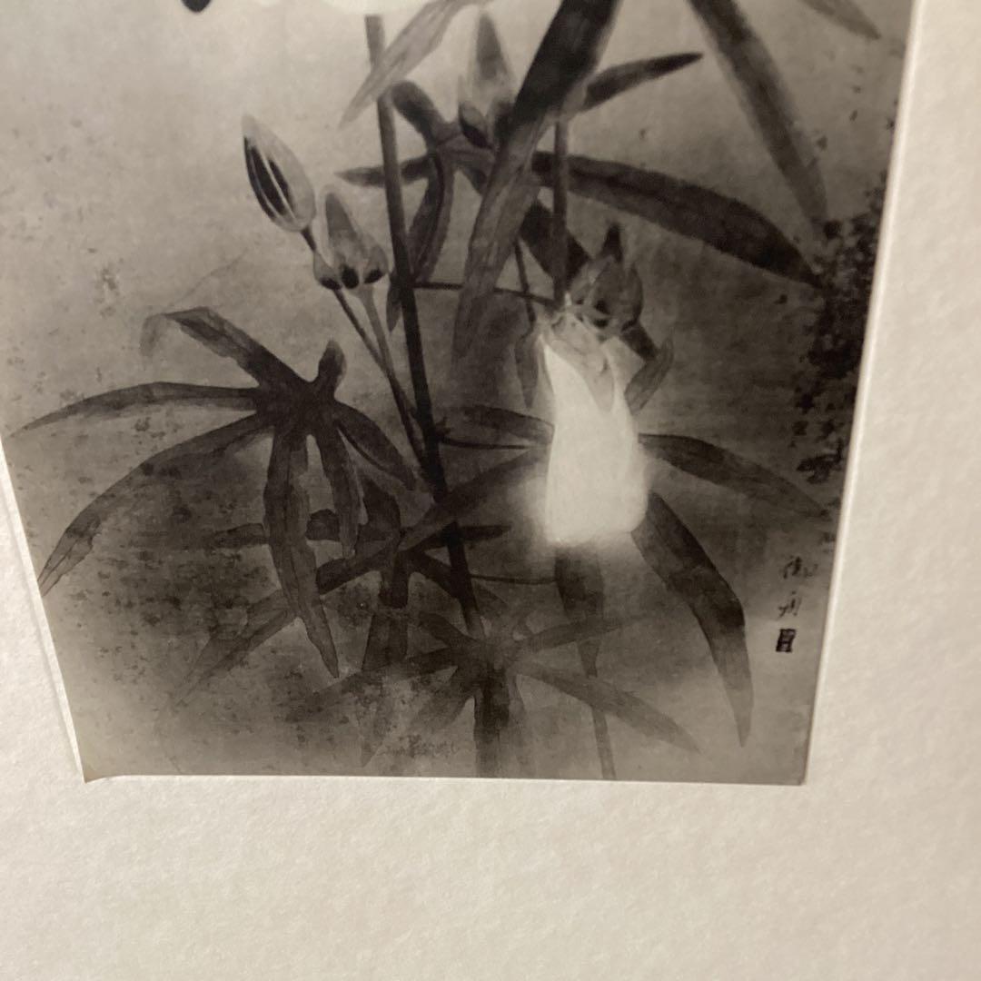 天才画家　速水御舟　作品集大作編　便利堂監修　画集【露　潤】　NO 41