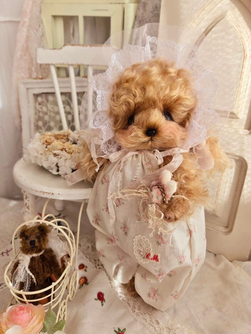 カーリーモヘアのトイプードルちゃん.*・゜特別なset₊˚⊹ ʚɞ テディベア