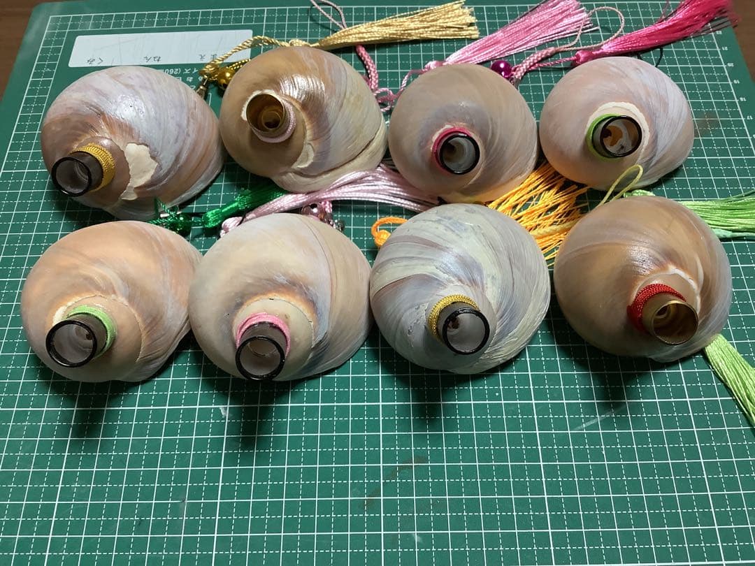 ヤフメリ39・ツメタガイ・法螺貝・山伏・修験者・金峯山・羽黒山・戦国武将・国宝